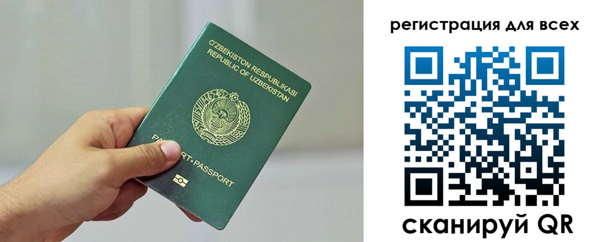 временная регистрация поиск в Камышине