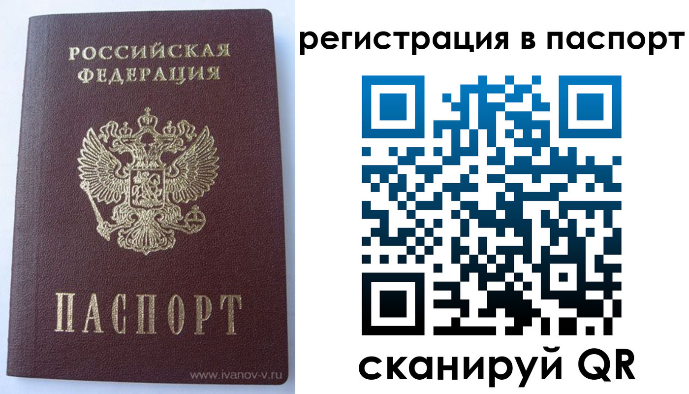 прописка поиск в Камышине